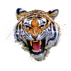 Tiger tg835