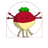 Vitruvian beet