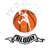 Basketball basketball team