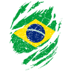 Le drapeau du Brésil