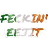 FECKIN EEJIT