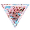 Cherry Blossom Triangle