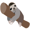 sloth