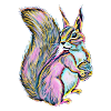 squirrel