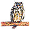 owl
