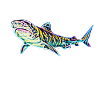 Tiger shark