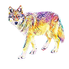 wolf