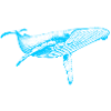 Blue Whale (Neon)