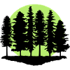 Wald und Mond, Bäume