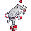 Circus elephant