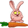 Lapin aux carottes