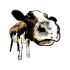 vache vache ferme ferme