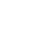 Paleontology Dinosaur Excavation Fossil