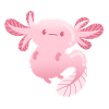 Axolotl