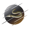 Eel fishing worm fish