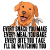 Labrador