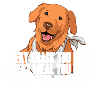 Labrador