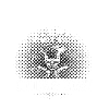 cook