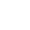 kite