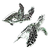 Sea turtles