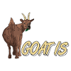 Goat, goats