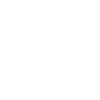 automobile