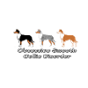 Obsessive Smooth Collie Disorder