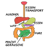 Anatomie Arzt Organe