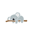 Koala bear