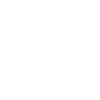 Australian cattle dog