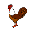 Rooster cartoon