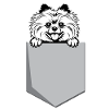 Pomeranian Poche poitrine