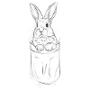 cute rabbit in bag