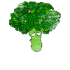 Eat veggies broccoli vegetables