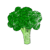 broccoli
