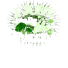 Broccoli vegetables