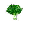 Broccoli broccoli vegetables