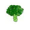 Brocoli brocoli Légumes