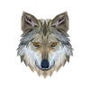 Wolf Face Polygon 3D