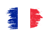 France flag. French flag