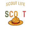 scout