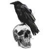 Crow Skull