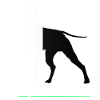 Computer scientist admin sayings