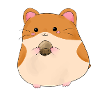 hamster