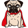 Pug pug superhero dog