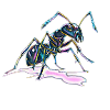 ant