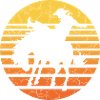 Cowboy rider in sunset