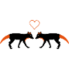 Foxes in Love