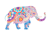 Elephants India animals