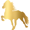 Toelter gold